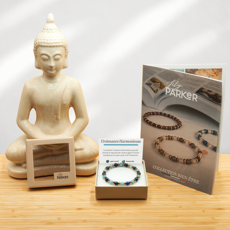 Bracelet "Croissance Harmonieuse" - Lapis Lazuli & Amazonite - Lily Parker
